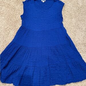 Women’s Blue Dress